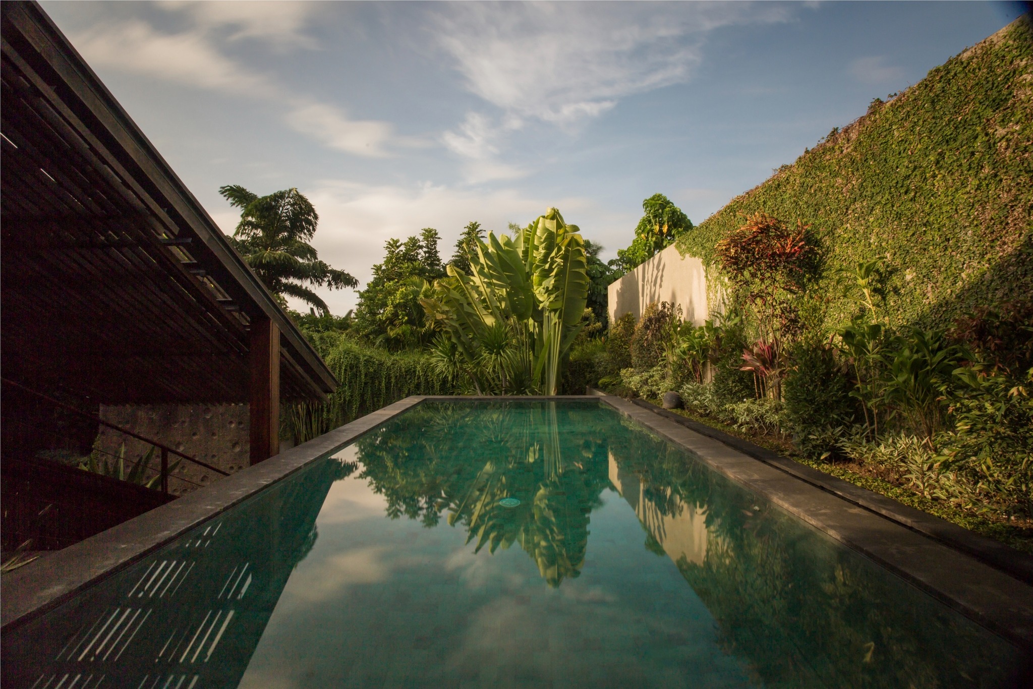 �ĥ��� ���᡼��