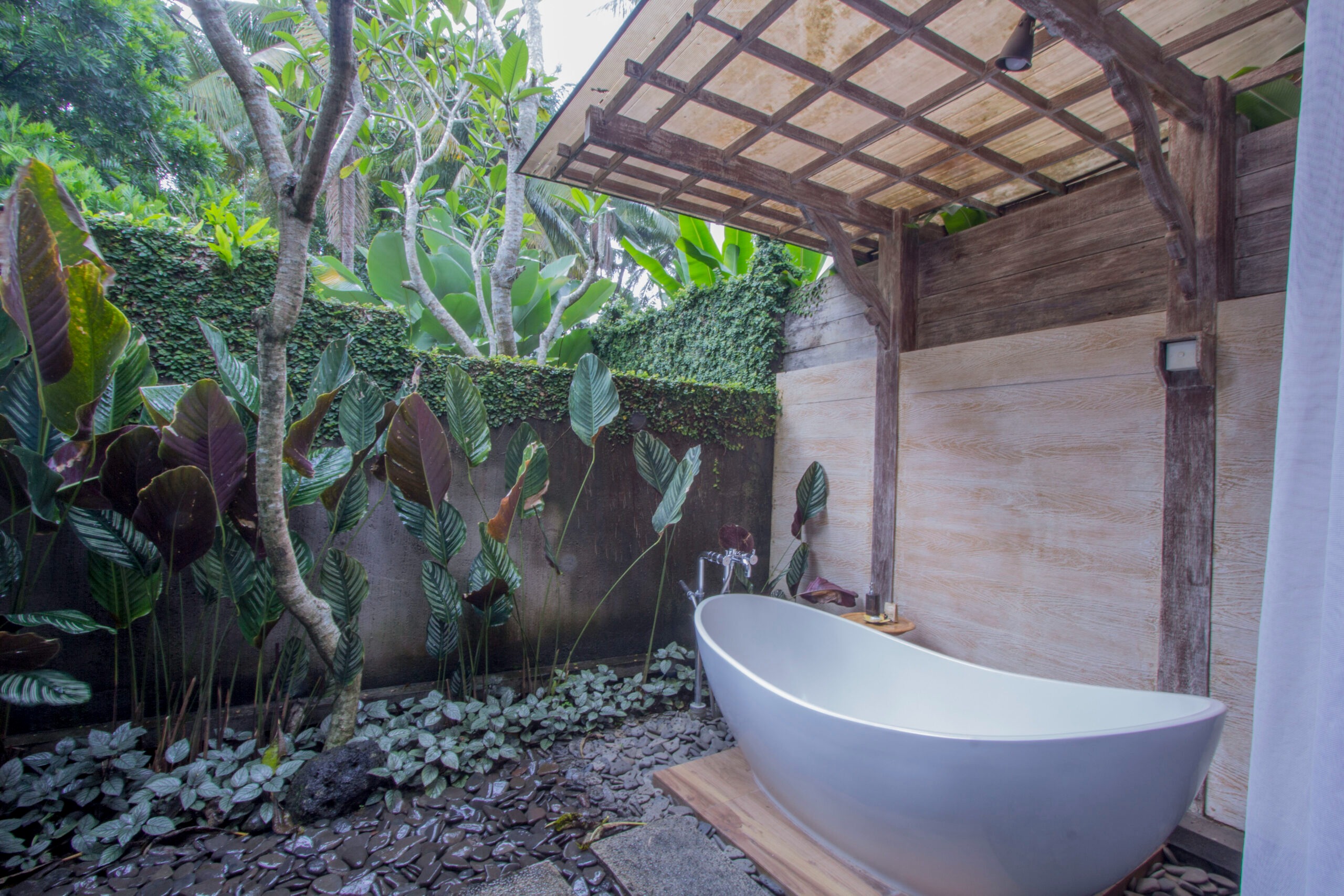 ツアー イメージ