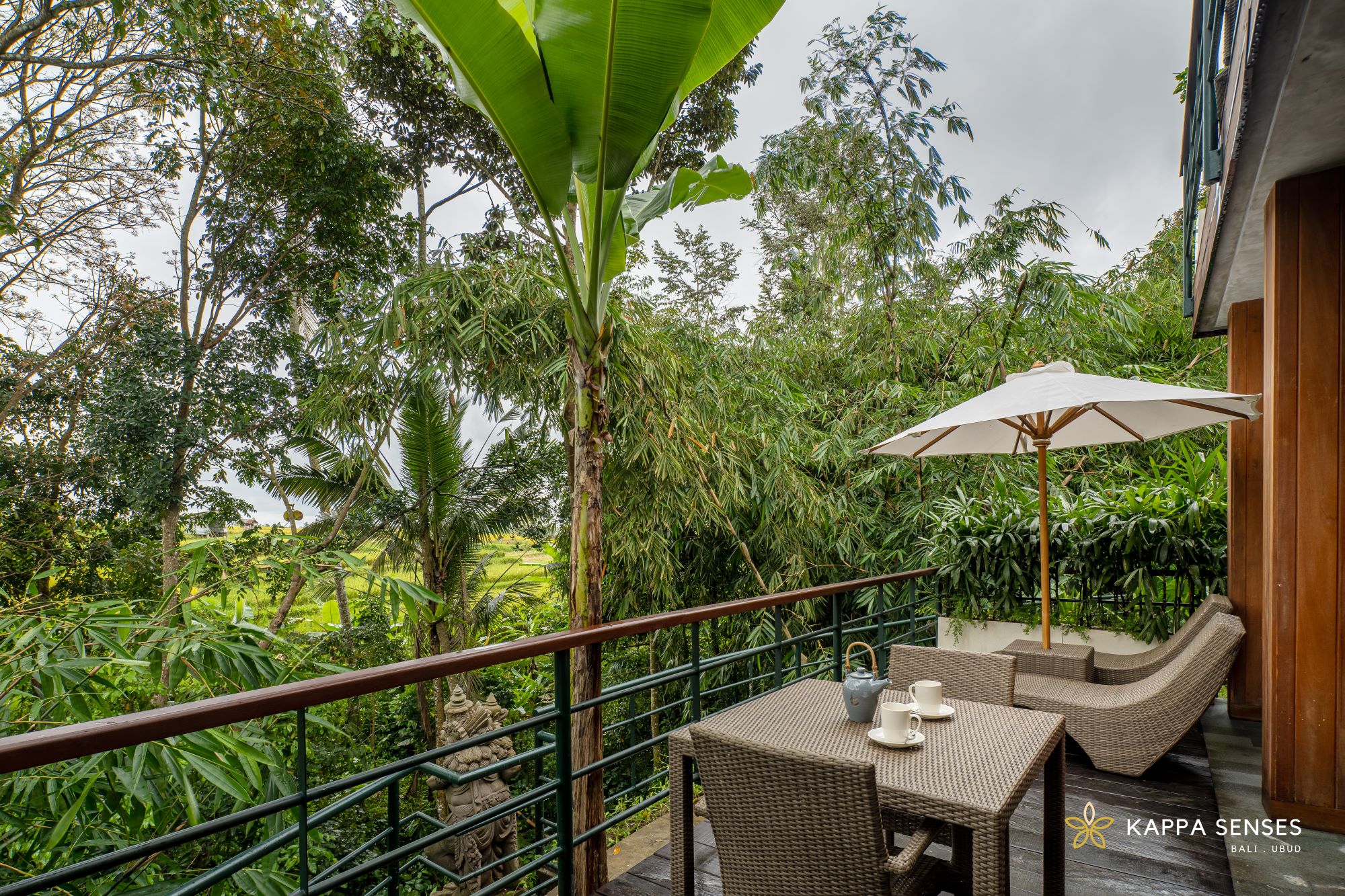 ���å� ���󥷥� ���֥� ����󥰥륹������