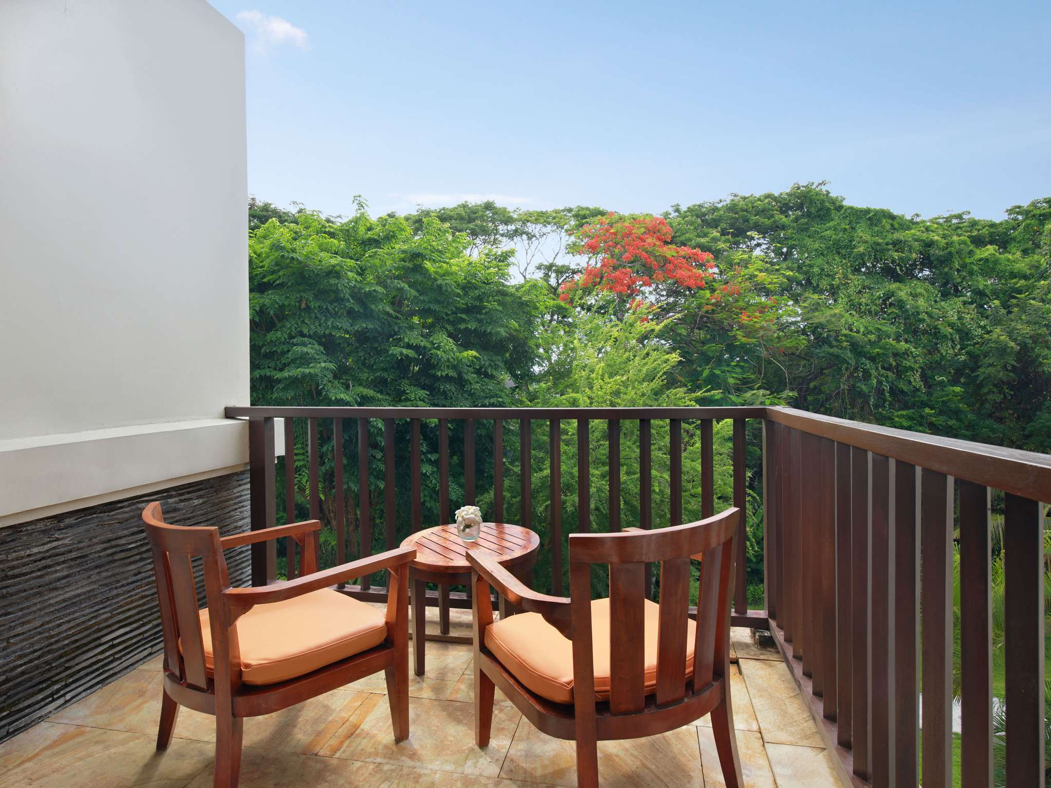 �ĥ��� ���᡼��