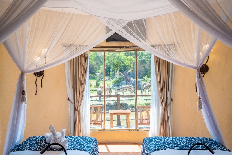 �ĥ��� ���᡼��